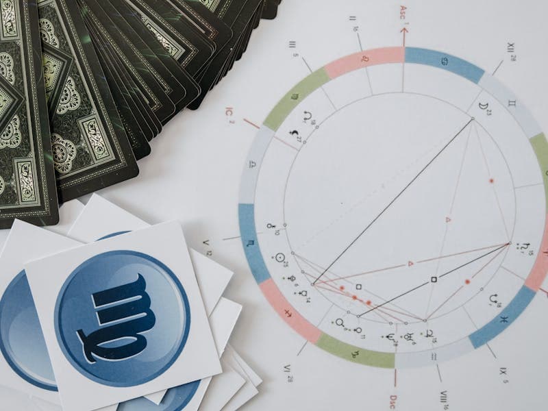 A Vedic astrology chart with zodiac symbols